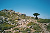 Karpathos