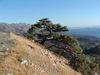 samos_bergen1.jpg