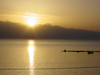 Koroni