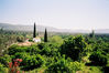 samos10.jpg