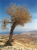 Najaar op Karpathos