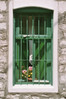 Groen raam