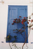 blauwe luiken (Custom).JPG