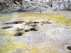 maanlandschap op nissyros
