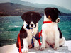 DSC01095.JPG