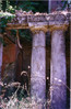 Bestandsnaam : Scan10011.JPG
Bestandsgrootte : 130
Afmetingen : 524x800
Datum toegevoegd : 06 Jun 2004 Scan10011.JPG