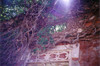 Bestandsnaam : Scan10013.JPG
Bestandsgrootte : 75
Afmetingen : 600x397
Datum toegevoegd : 06 Jun 2004 Scan10013.JPG
