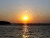 P7010003.gif