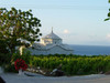 DSC00485.JPG