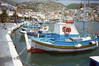 imm012.JPG