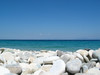 122_2215b.JPG
