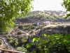 Monnikenvervoer in Meteora