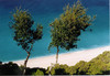 Strand bij Egkremnoi.jpg