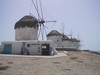 Pelikaan Petros