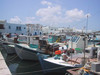 Paros Cyclades Greece