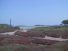 Kolymbithres