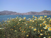 Paros Cyclades Greece