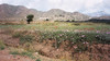 Bloemenzee