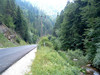 Bestandsnaam : bergweg naar stefani.jpg
Bestandsgrootte : 191
Afmetingen : 800x600
Datum toegevoegd : 16 Jul 2004 bergweg naar stefani.jpg