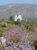 Elafonisi