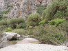Preveli