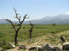 Lasithi Plateau