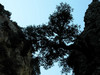 Imbroskloof Kreta