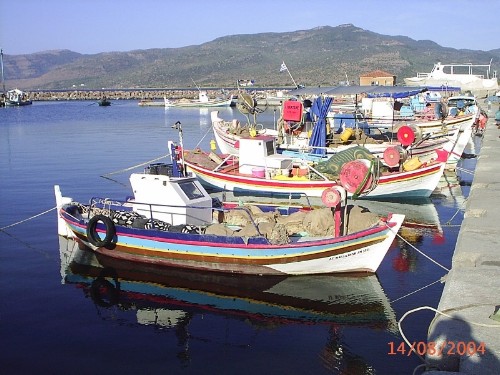 Haventje Skala Kalloni