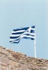 vlag