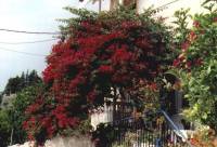 Parga Epirus