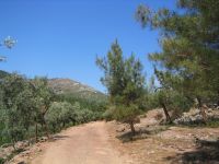 Thassos Greece