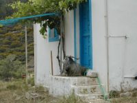 Karpathos Greece