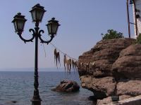 Lesbos / Lesvos Greece