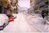 Florina