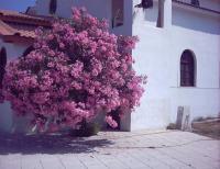 Thassos Greece