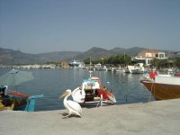 Lesbos / Lesvos Greece