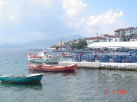 Pilion