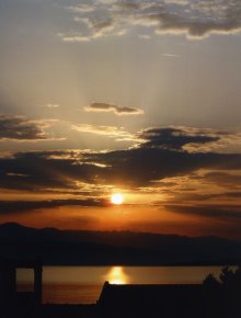 Roda Corfu / Korfoe